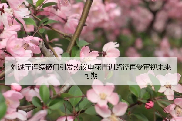 刘诚宇连续破门引发热议申花青训路径再受审视未来可期